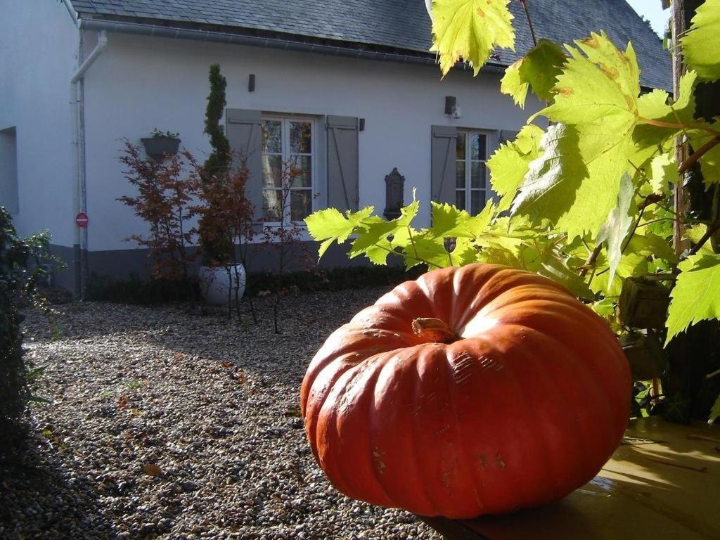 Holiday home D'hamicourt Aux Portes De La Baie De Somme